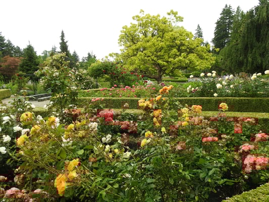A garden with colorful flowers and a pathway of well-shaped hedges, representing Florida's botanical gardens